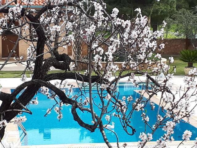 Mediterranean Garden Villa Vathi  Ngoại thất bức ảnh