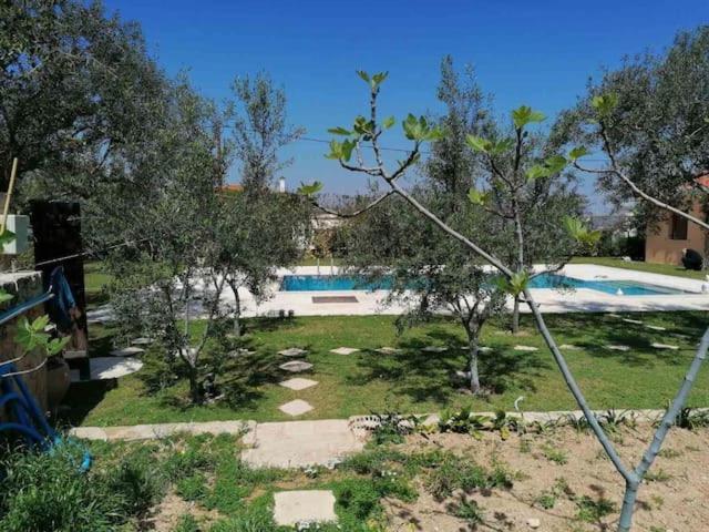 Mediterranean Garden Villa Vathi  Ngoại thất bức ảnh